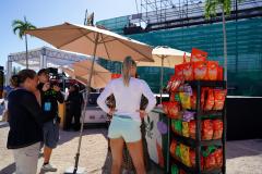 WhatsApp-Image-2025-02-26-at-5.57.49-PM