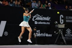 WhatsApp-Image-2025-02-26-at-9.27.59-PM