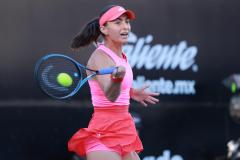 WhatsApp-Image-2025-02-26-at-7.40.59-PM