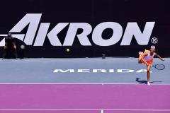 WhatsApp-Image-2025-02-23-at-2.54.52-PM-1