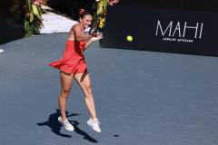 WhatsApp-Image-2025-02-25-at-4.54.12-PM