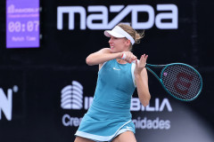 WhatsApp-Image-2025-02-23-at-12.09.00-PM-2