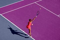 WhatsApp-Image-2025-02-25-at-4.56.49-PM