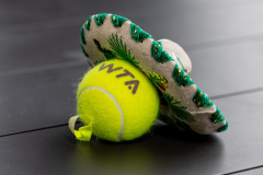 WhatsApp-Image-2024-10-27-at-14.05.57-3