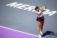 WhatsApp-Image-2026-02-21-at-12.13.09-PM-1