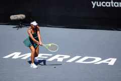 WhatsApp-Image-2026-02-21-at-12.13.14-PM