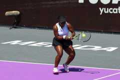 WhatsApp-Image-2026-02-21-at-12.09.04-PM-1