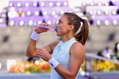 WhatsApp-Image-2025-02-25-at-6.36.11-PM