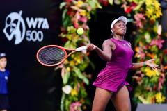 WhatsApp-Image-2025-02-25-at-6.36.18-PM-2