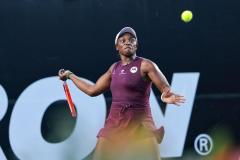 WhatsApp-Image-2025-02-25-at-6.36.24-PM