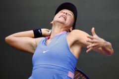 WhatsApp-Image-2024-10-28-at-16.43.28