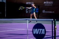 WhatsApp-Image-2026-02-21-at-4.25.40-PM