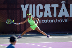 WhatsApp-Image-2026-02-21-at-4.25.41-PM