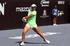 WhatsApp-Image-2026-02-21-at-1.53.26-PM