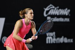 WhatsApp-Image-2025-02-25-at-7.36.43-PM-1