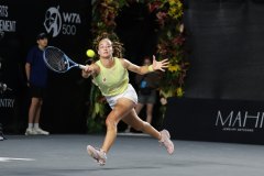 WhatsApp-Image-2025-02-25-at-7.36.52-PM