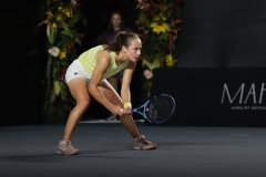 WhatsApp-Image-2025-02-25-at-7.36.53-PM