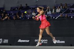 WhatsApp-Image-2025-02-25-at-7.36.59-PM